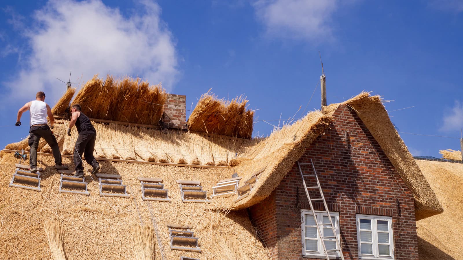 Traditioneel Nederlands rietdak op een woonhuis in een landelijke omgeving