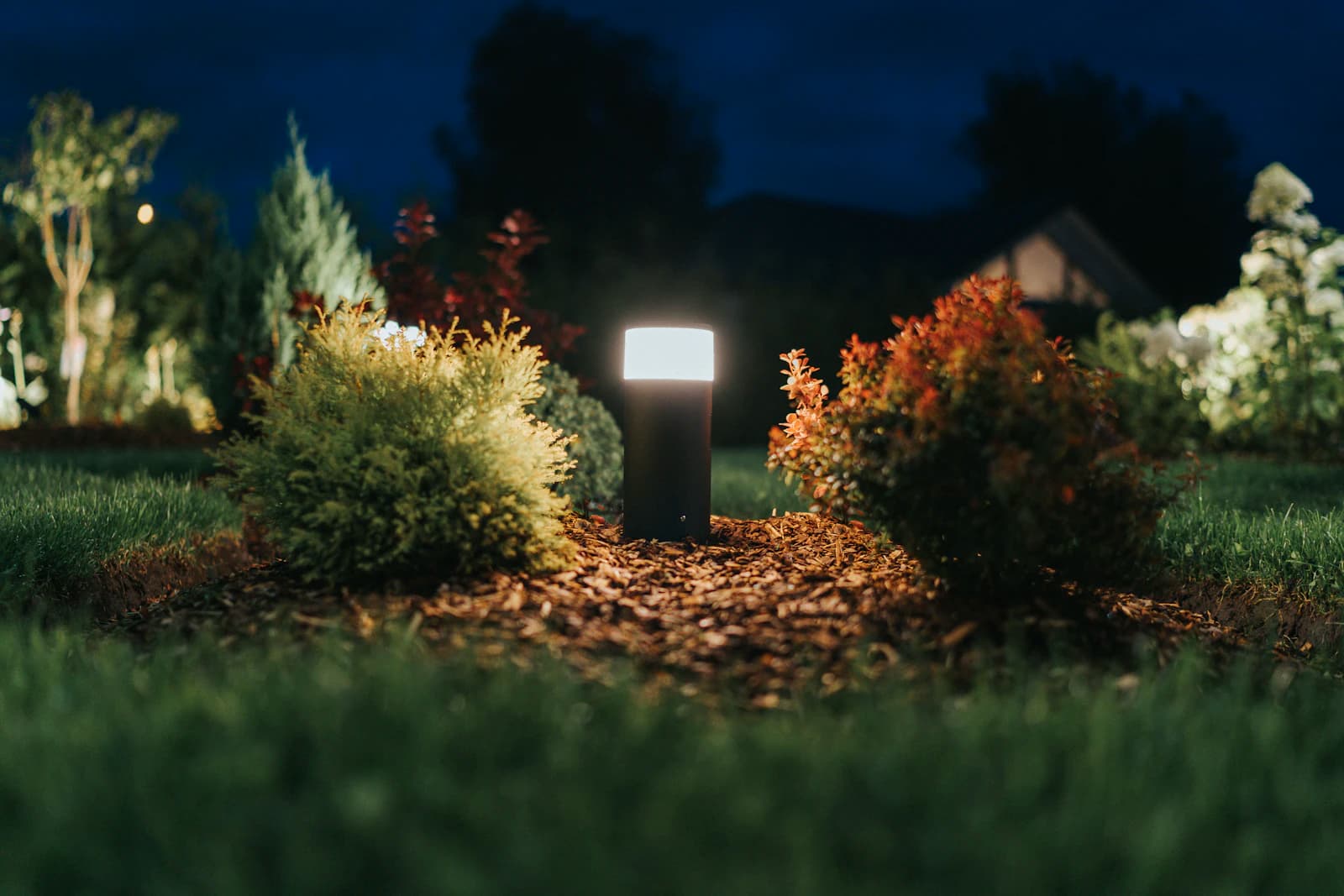 Sfeervolle tuinverlichting met LED-spots en lichtsnoer langs een tuinpad in de avondschemering