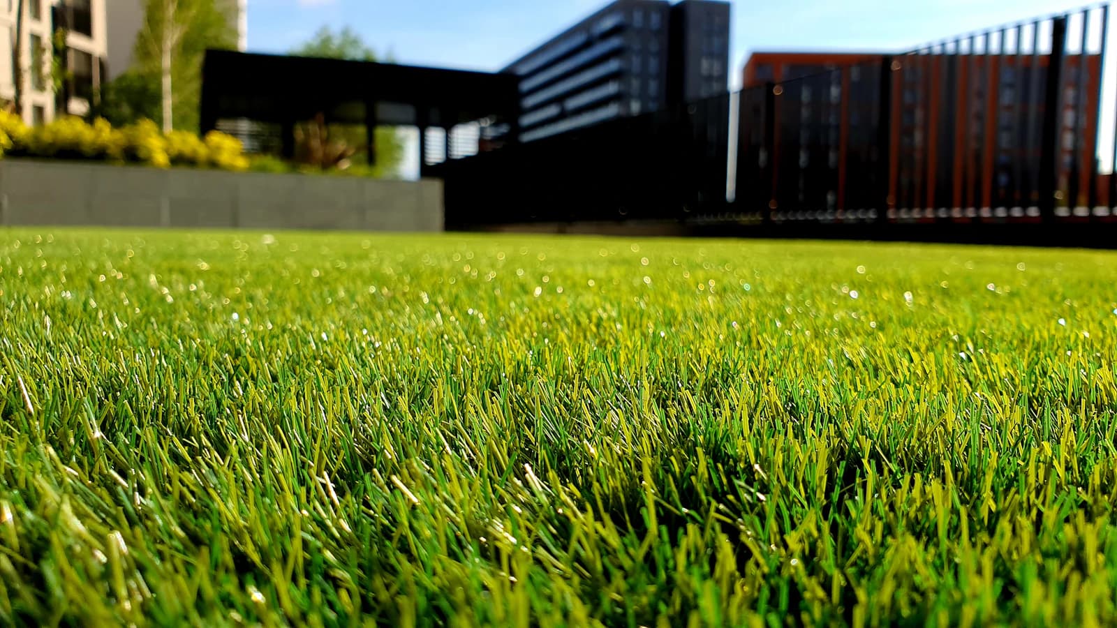 Nieuw aangelegd groen gazon in een Nederlandse tuin