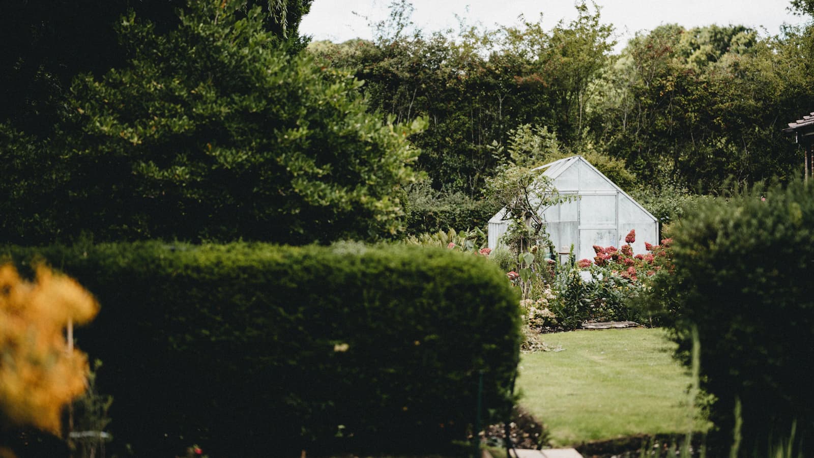 Heg en schutting als tuinafscheiding