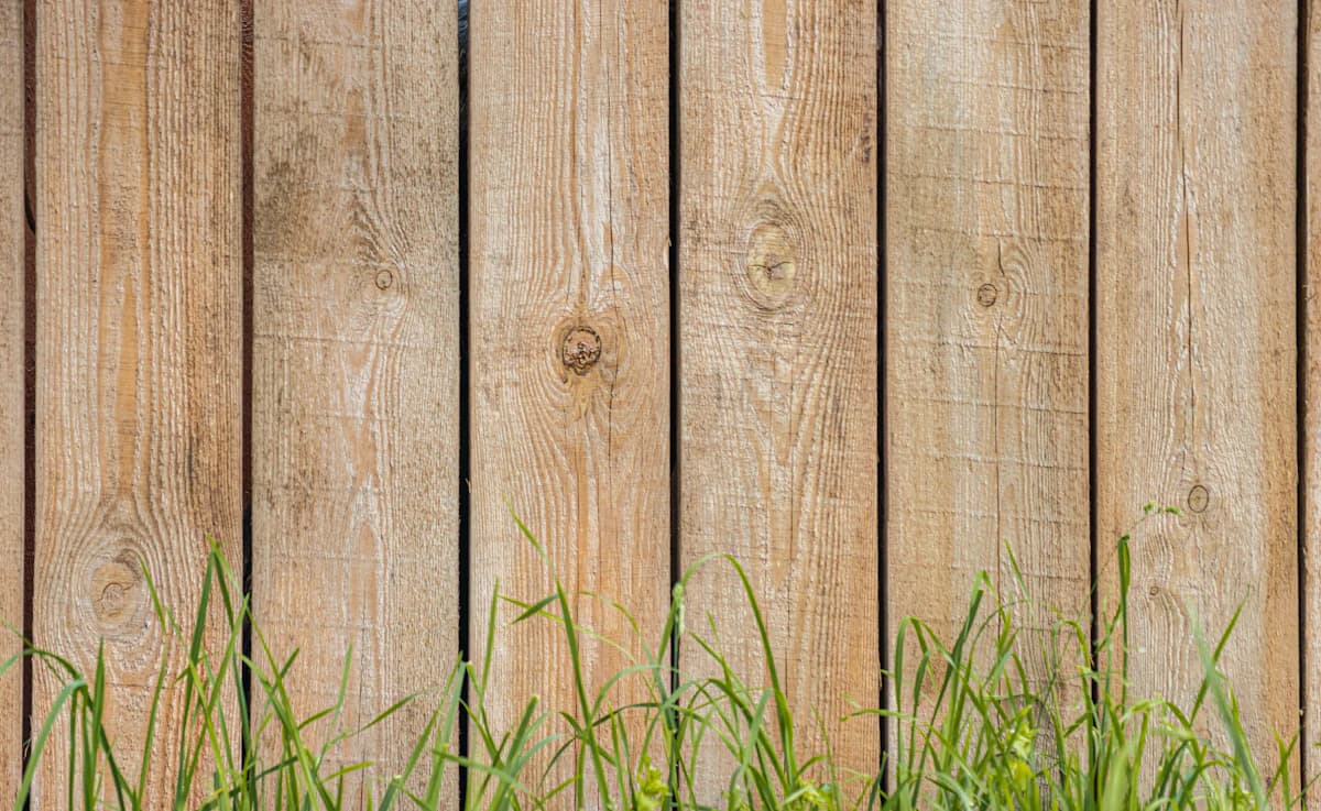 Houten schutting in een achtertuin met betonnen palen en houten planken