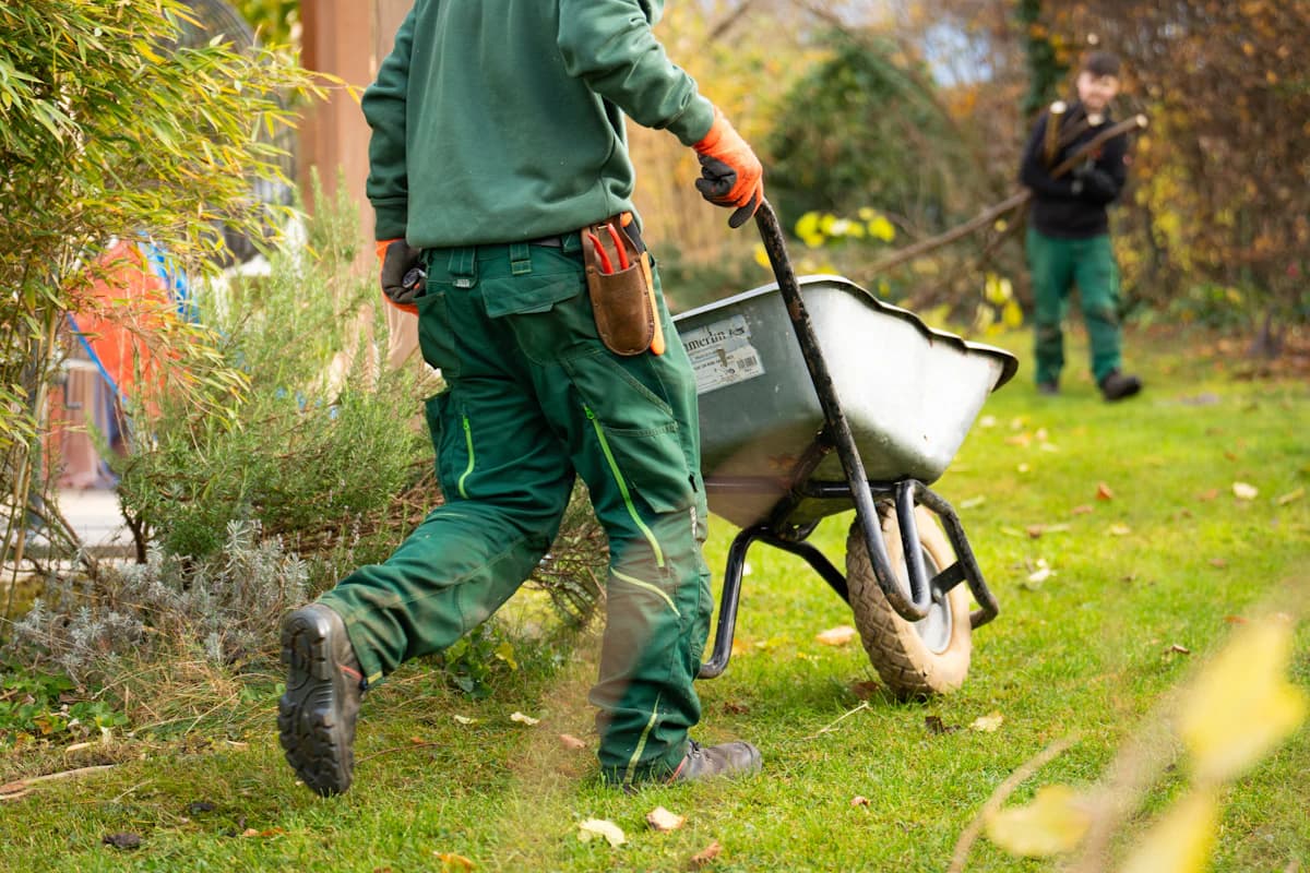 Aangelegde achtertuin met bestrating, vaste planten en houten terras na oplevering door een hovenier