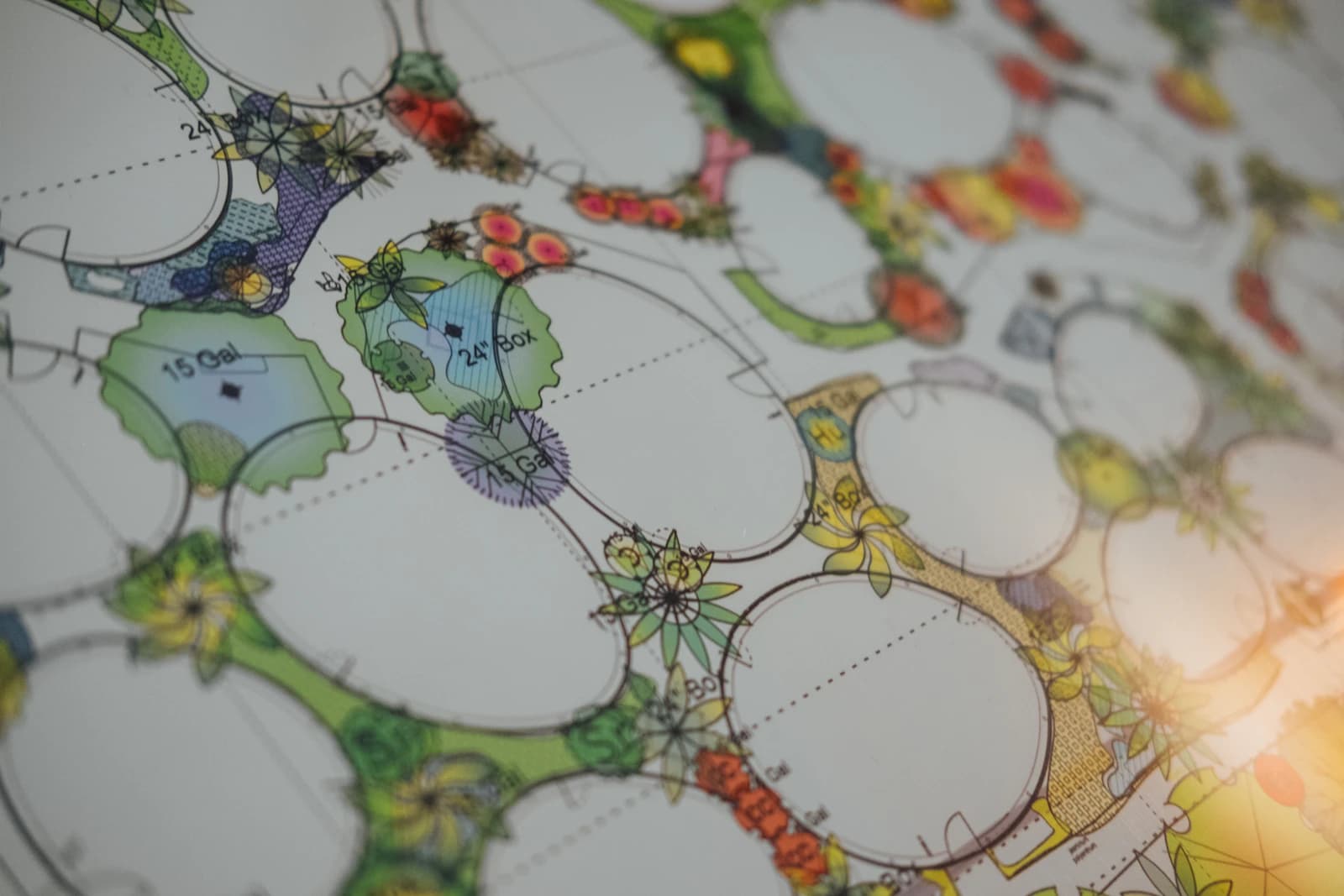 Tuinontwerp op papier met plattegrond, beplantingsschets en kleurpotloden van een tuinarchitect