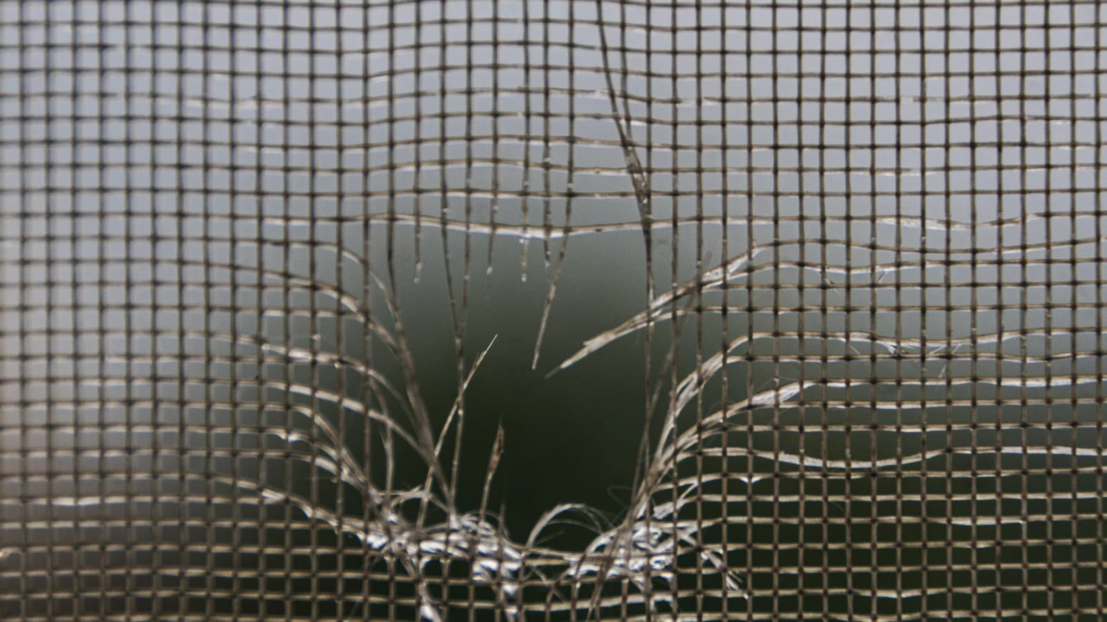 Detail van een raam met een fijnmazige hor erin tegen muggen en vliegen