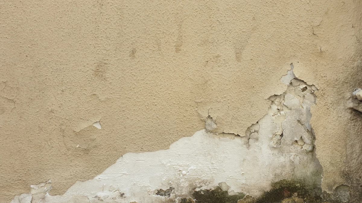 Vochtplek met afbladderende verf en verkleuring op een binnenmuur