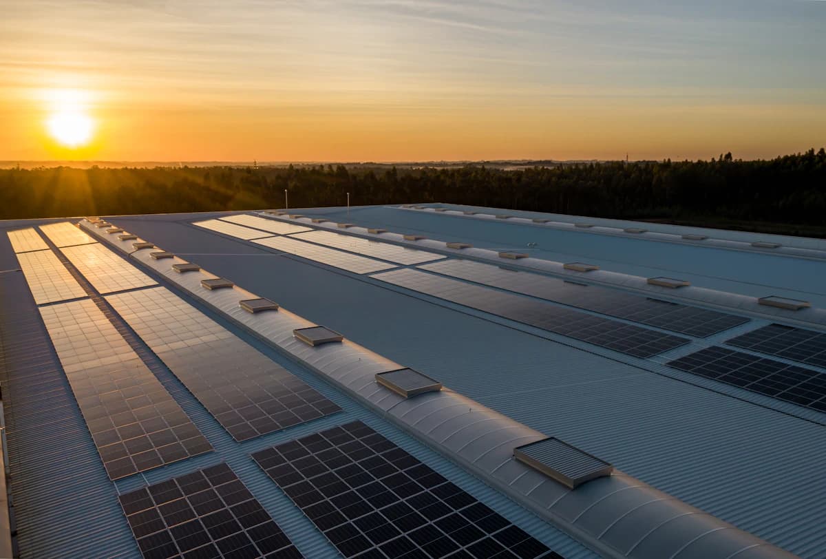 Rij zonnepanelen op een hellend pannendak in de avondzon